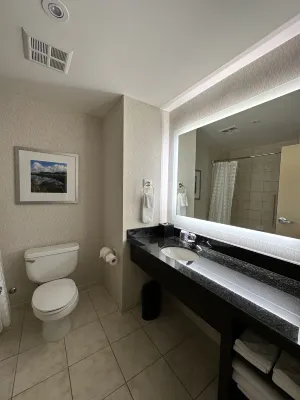 Embassy Suites by Hilton Niagara Falls/ Fallsview Chambres Photos