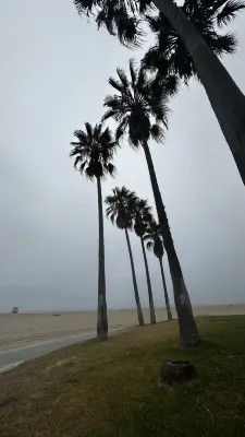 Air Venice on the Beach Near Hotel Photos