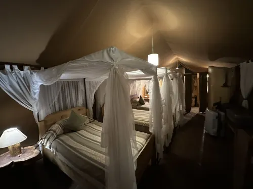 Kibo Safari Camp, Amboseli Chambres Photos