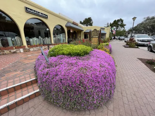 Best Western Carmels Town House Lodge Circondario Photos