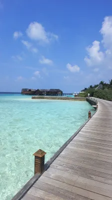 릴리 비치 리조트 & 스파 - 호텔 주변 Photos