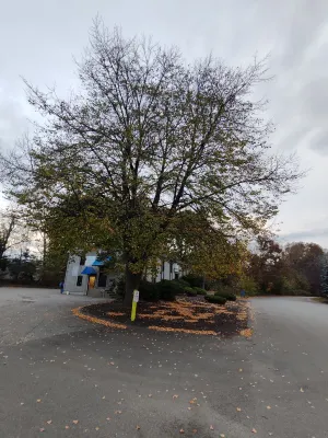 Best Western Plus New Englander Near Hotel Photos
