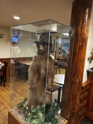Super 8 by Wyndham Jackson Hole Photos