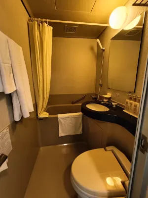 Narita U-City Hotel Kamar Photos