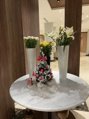 Novotel Cairo El Borg Общественные зоны Photos