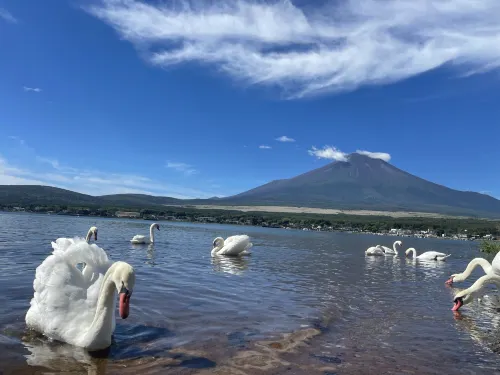 Fuji Marriott Hotel Lake Yamanaka Circondario Photos