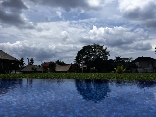 Plataran Ubud Hotel & Spa Relaksasi & Rekreasi Photos