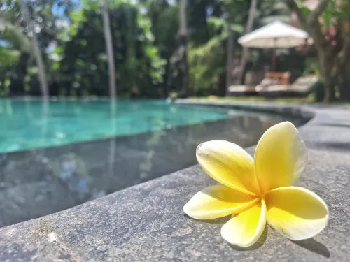 Mesari Hotel Ubud Photos