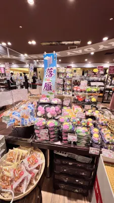 HOTEL MYSTAYS Kumamoto Riverside Photos