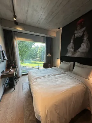 Radisson Red Helsinki Chambres Photos