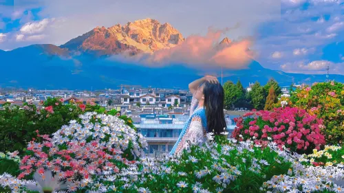 Date jade dragon snow mountain view guest house À proximité de l'hôtel Photos