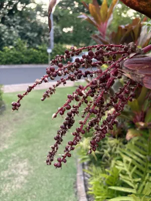 Four Seasons Resort Maui at Wailea Photos