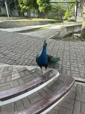 Ultra Winds Mountain Resort Near Hotel Photos