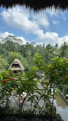 The Kayon Resort(Adult Only) Near Hotel Photos