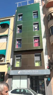 Chameleon Youth Hostel Alicante Extérieur Photos