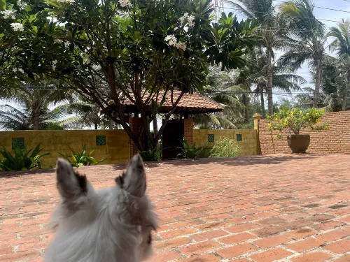Full Moon Village Resort Near Hotel Photos