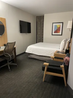 World Center Hotel Camere Photos