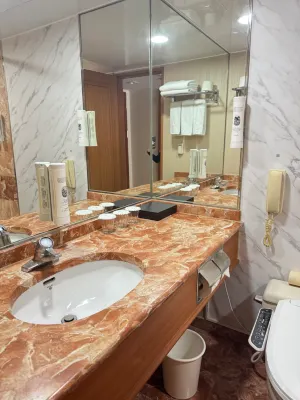 Sejong Hotel Seoul Myeongdong Номера Photos