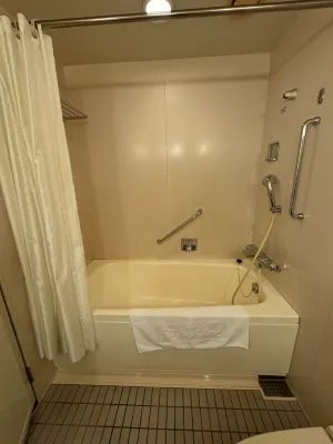 Hotel New Otani Osaka Camere Photos