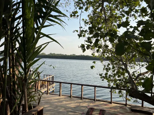 Banyan Tree À proximité de l'hôtel Photos