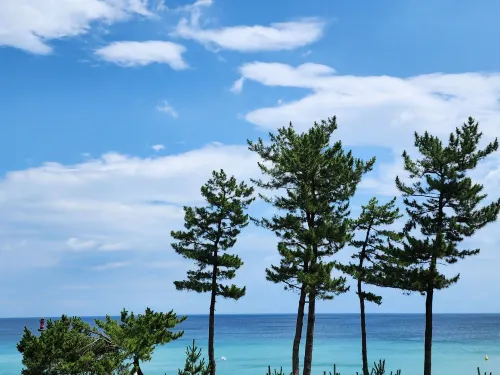 경포수 호텔 호텔 주변 Photos