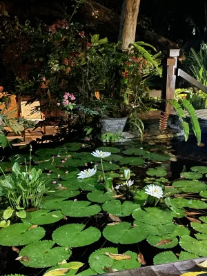The Watergarden Hotel & Spa Photos