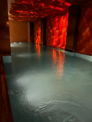 Hyatt Centric Levent Istanbul الترفيه والتسلية Photos