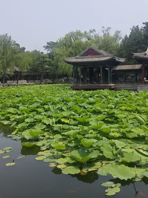 Homeinn Selected Hotel (Beijing Temple of Heaven South Gate Jingtai Subway Station) Near Hotel Photos