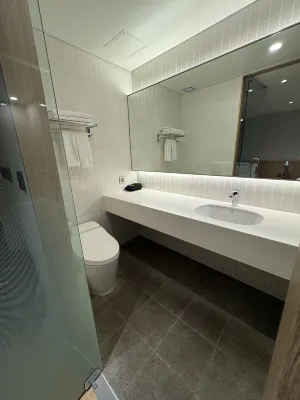 Hotel Newv Gangnam Seoul Rooms Photos