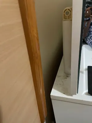 Laguna Hotel Rooms Photos
