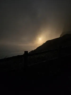 제주 나인부띠끄 호텔 호텔 주변 Photos