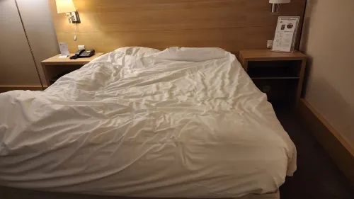 Best Western Plus Paris Orly Airport Chambres Photos
