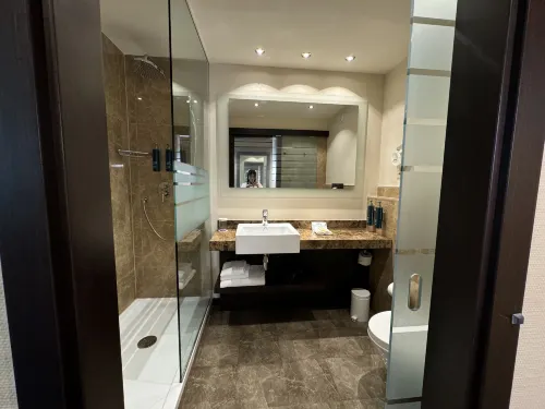 Hilton Geneva Hotel and Conference Centre Camere Photos