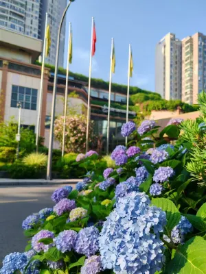 Wangjiang Hotel (Wangjiang Jiudian) Photos