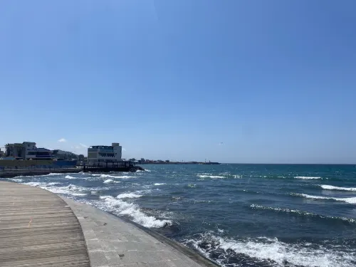 제주 골든파크 호텔 호텔 주변 Photos