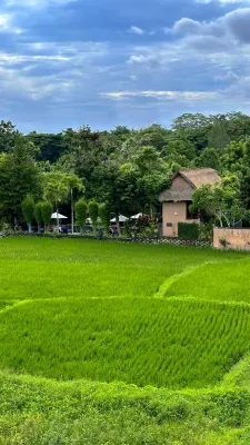 The Evitel Resort Ubud Dekat Hotel Photos