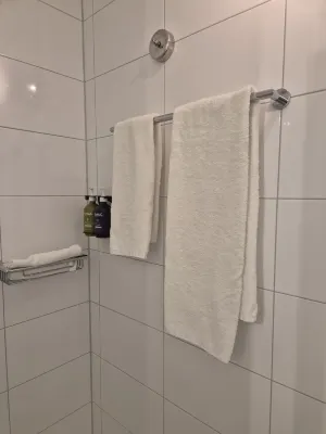 Holiday Inn Eindhoven الغرف Photos