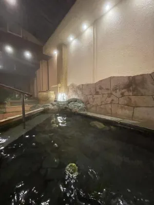 Hotel New Wakasa Photos