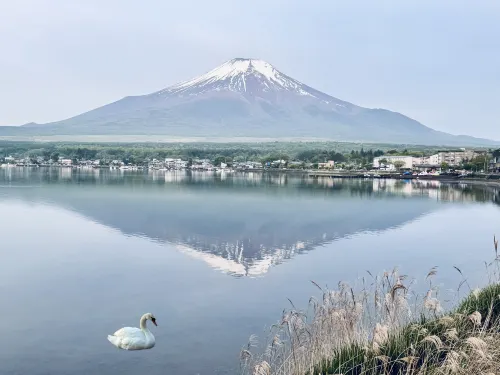 Mt Fuji View and Private Sauna Ryokan Shizuku(No accommodation for 12 years old and below) Dekat Hotel Photos