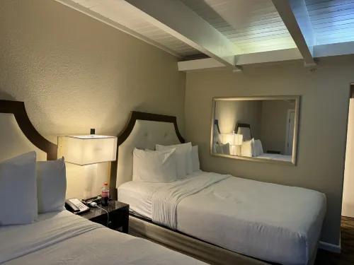 Best Western Plus Island Palms Hotel & Marina Rooms Photos