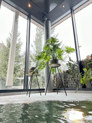 Matterhorn Focus Design Hotel Espaces publics Photos