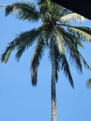 Teras Hotel & Villa Banyuwangi Photos