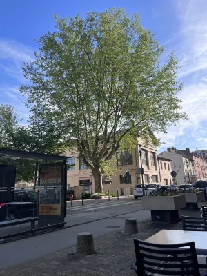 B&B Hotel Lyon Caluire Cité Internationale À proximité de l'hôtel Photos