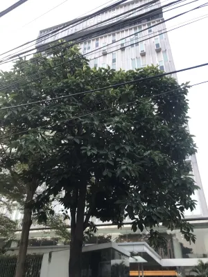 Ra Premiere Simatupang Jakarta Экстерьер Photos