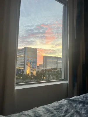 Universal’s Endless Summer Resort – Surfside Inn and Suites Rooms Photos