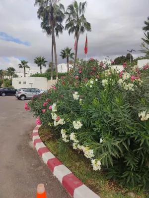 Allegro Agadir Espaces publics Photos