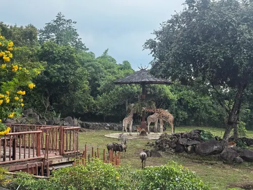 Baobab Safari Resort Dekat Hotel Photos