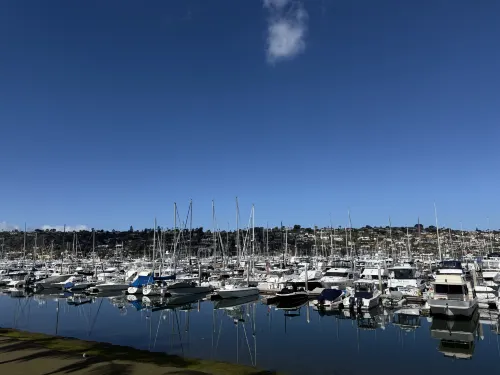 Best Western Plus Island Palms Hotel & Marina Near Hotel Photos