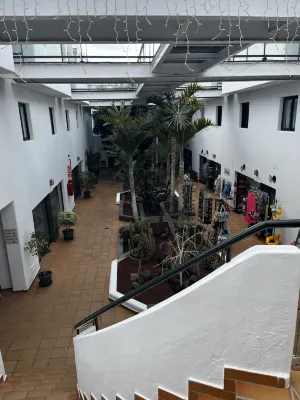 Hotel THB Flora Aree comuni Photos