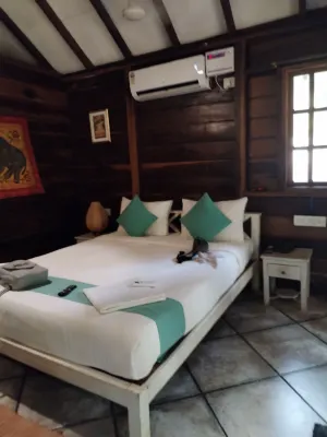 Little India Beach Cottages Rooms Photos